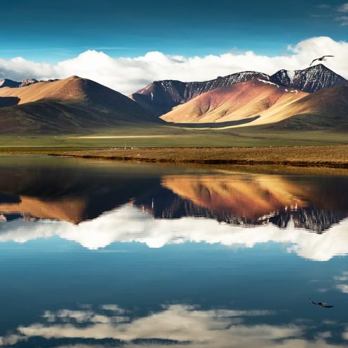 leh & ladakh tour packages